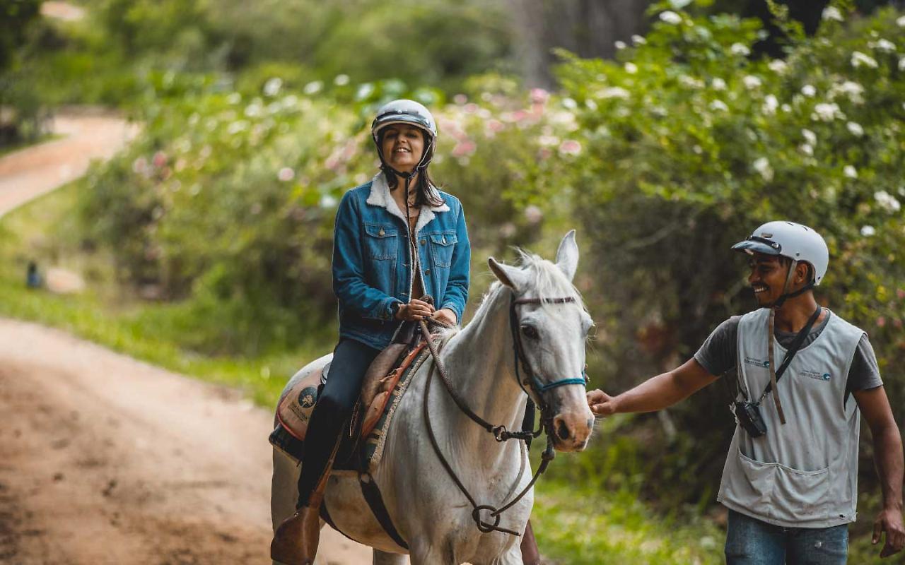 Hotel Fazenda Parque Dos Sonhos ソコロ エクステリア 写真