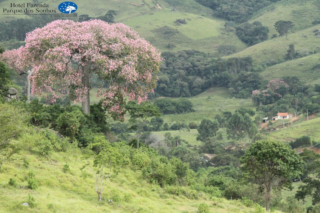Hotel Fazenda Parque Dos Sonhos ソコロ エクステリア 写真