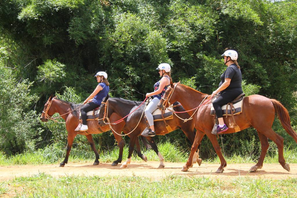 Hotel Fazenda Parque Dos Sonhos ソコロ エクステリア 写真
