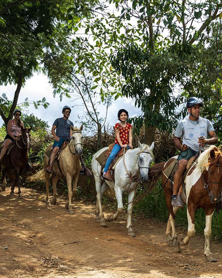 Hotel Fazenda Parque Dos Sonhos ソコロ エクステリア 写真