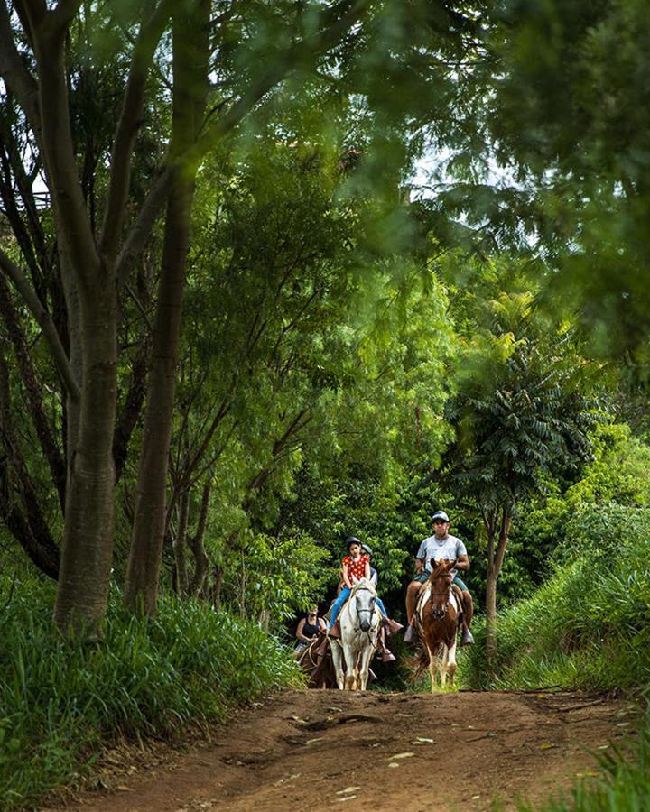 Hotel Fazenda Parque Dos Sonhos ソコロ エクステリア 写真